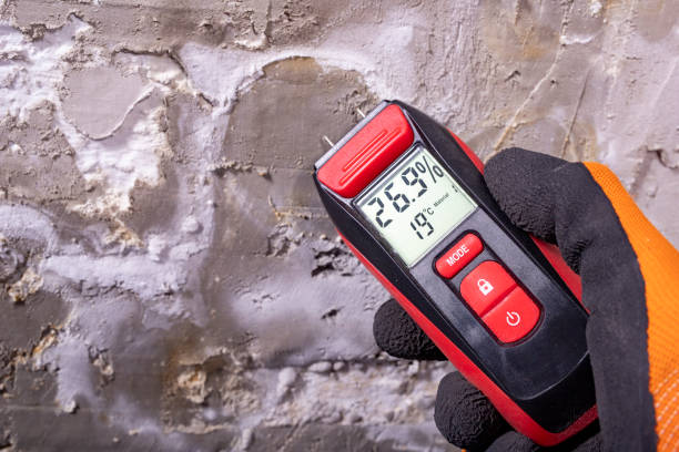 Best Mold Damage Repair  in Aust, IN