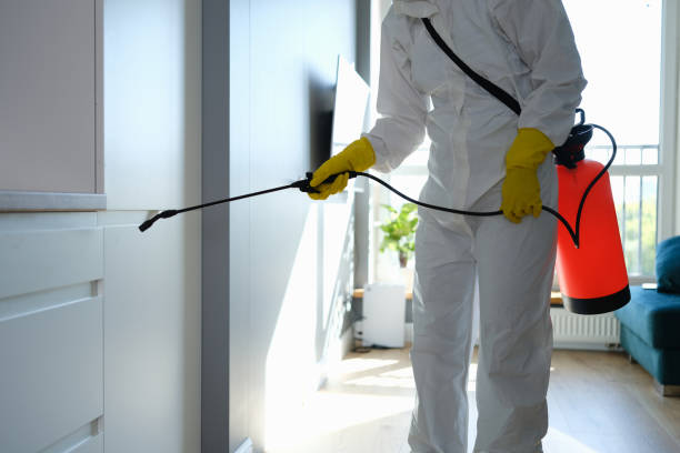 Best Fast Mold Removal  in Aust, IN