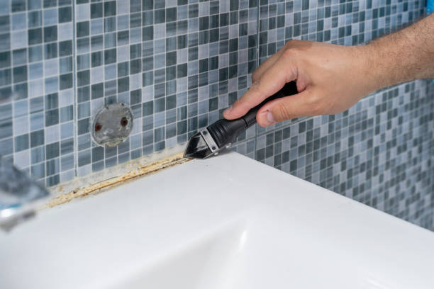 Best Professional Mold Removal  in Aust, IN
