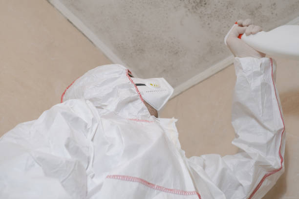 Best Professional Mold Removal  in Aust, IN