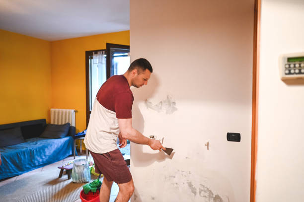 Austin, IN Mold Removal Company